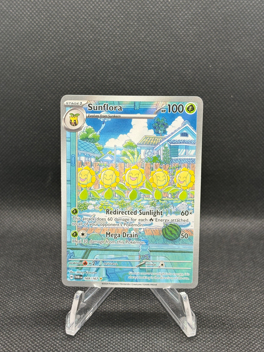 169/167 Sunflora