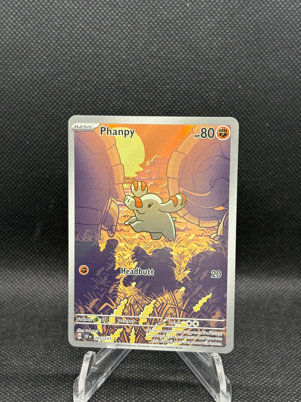205/191 Phampy