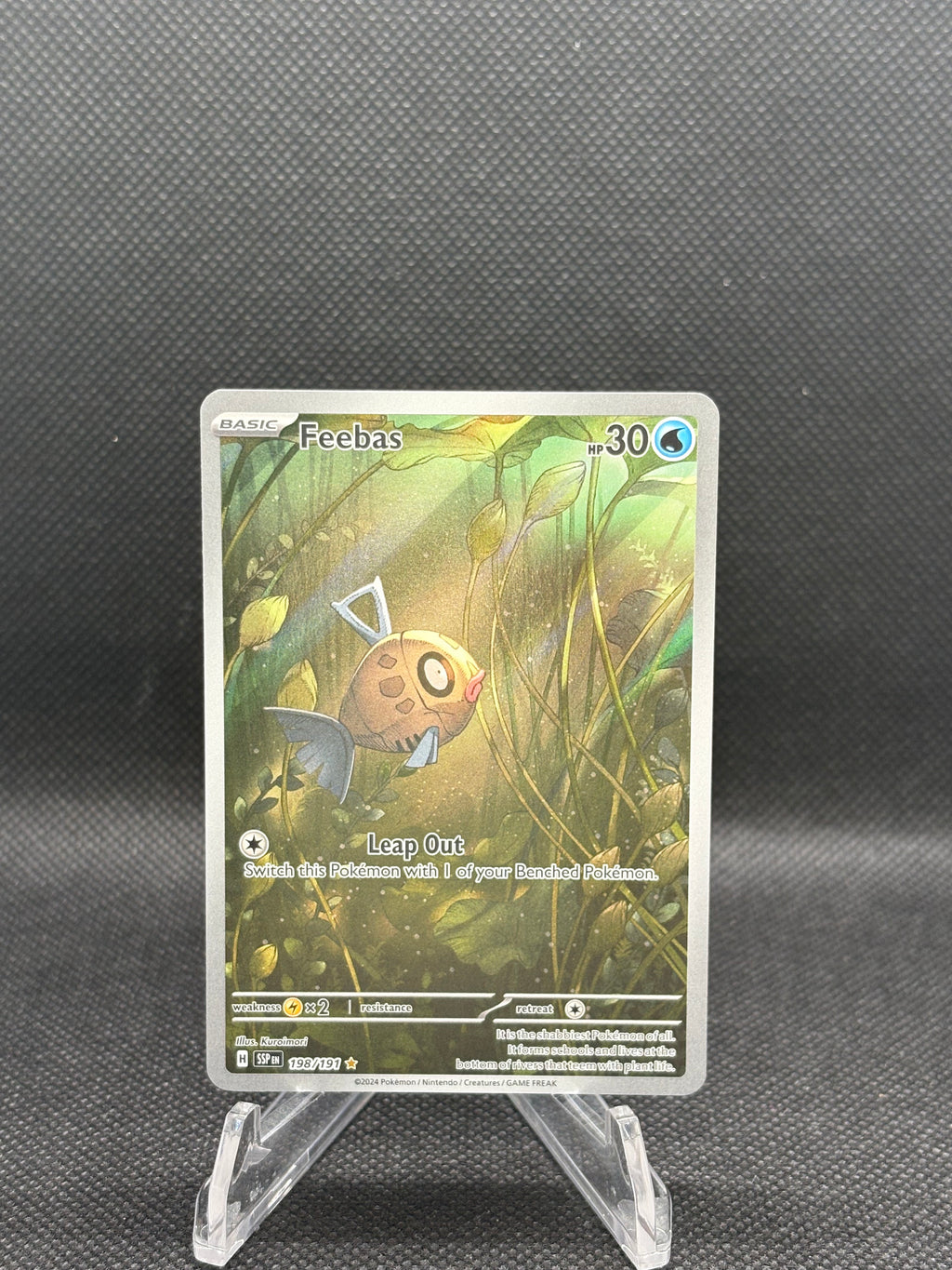 198/191 Feebas