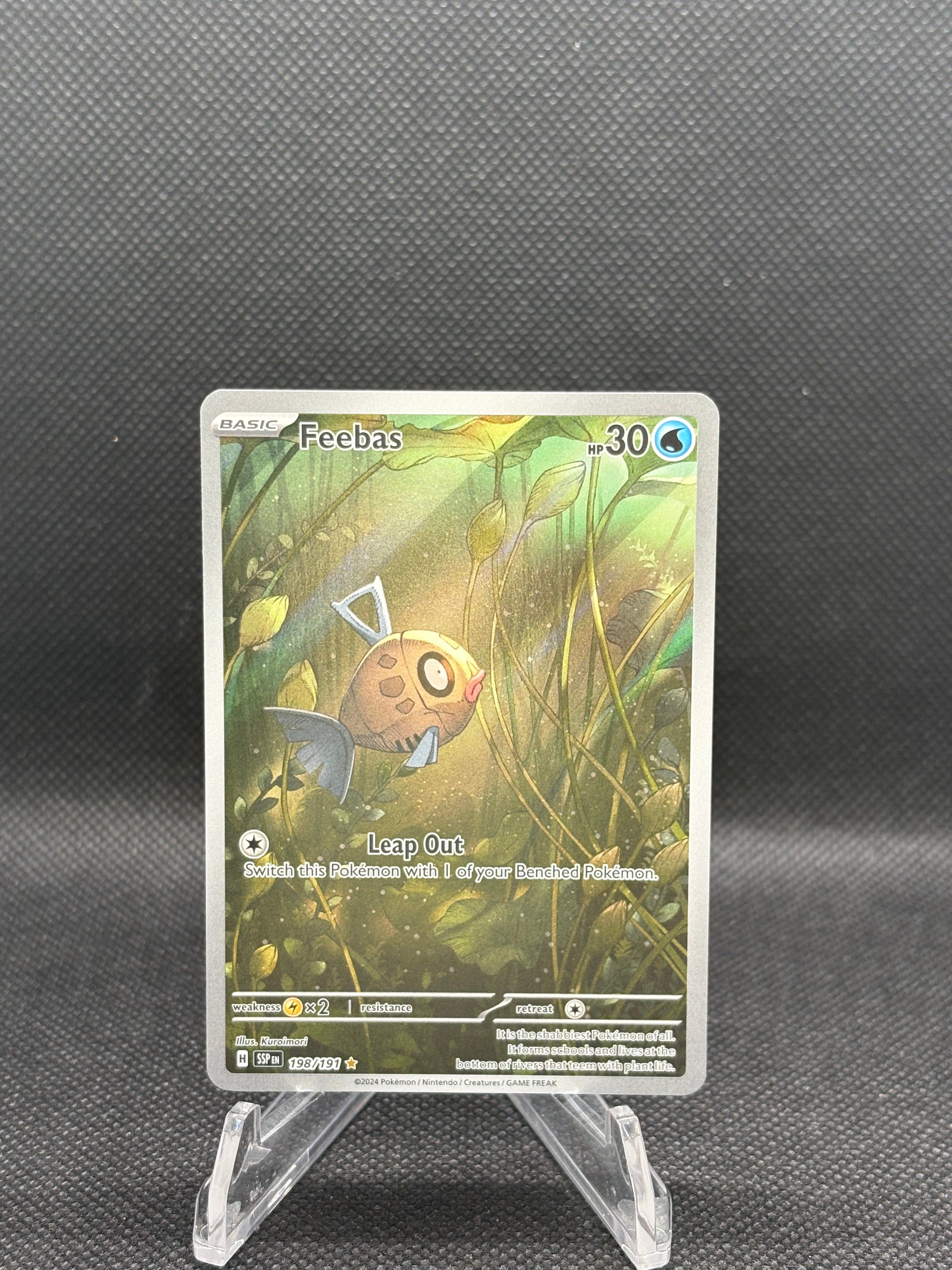 198/191 Feebas