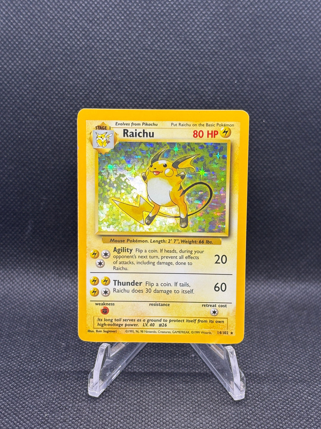 14/102 Raichu Holo